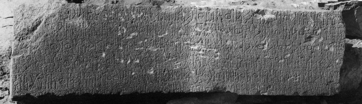 Avanzini 1995: pl. 33 Image free from copyright