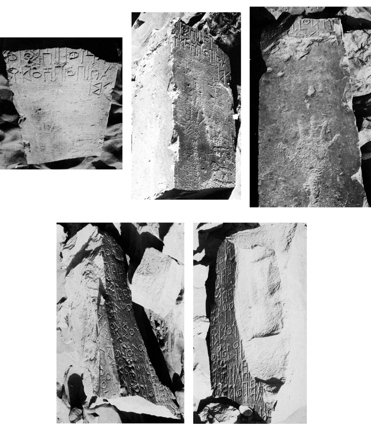 Fragments in situ Robin and Ryckmans, Jacques 1980: pls 27/b-29 Image free from copyright