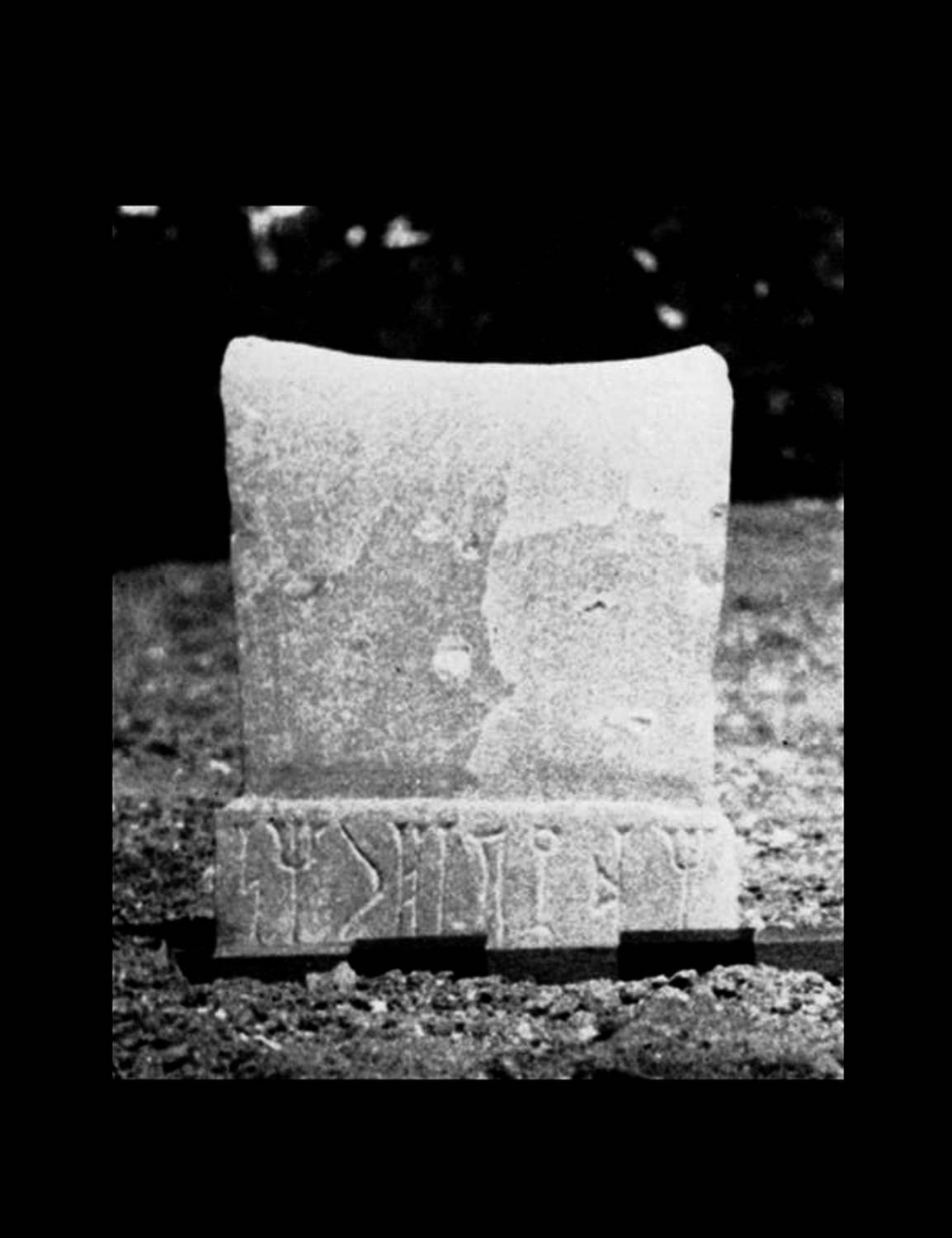 Honeyman 1962: 38, pl.2 Image free from copyright