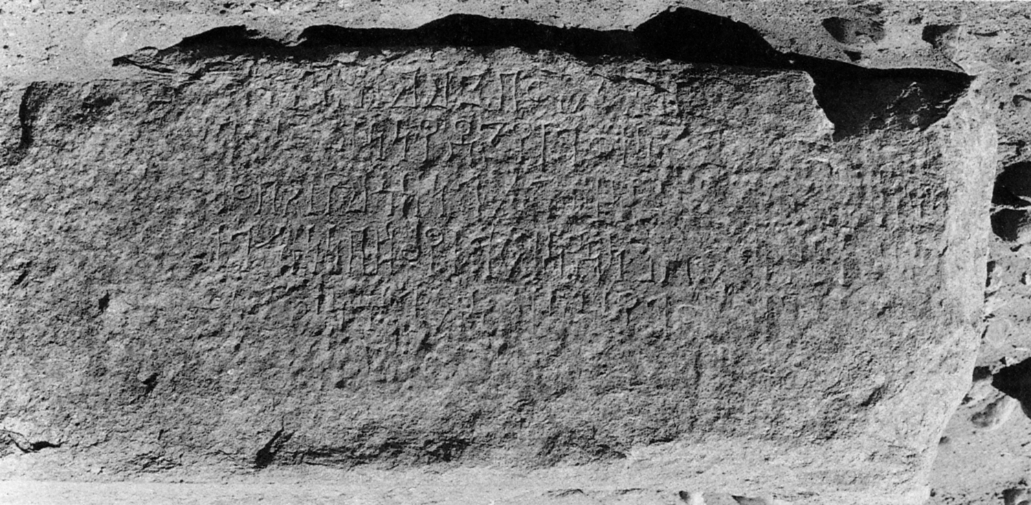 Avanzini 1995: pl. 32/a Image free from copyright