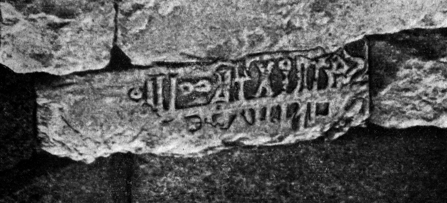 Grjaznevič 1978: fig. 7 Image free from copyright