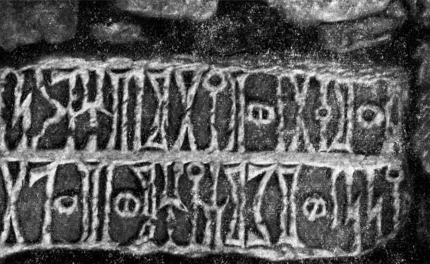 Grjaznevič 1978: fig. 9 Image free from copyright