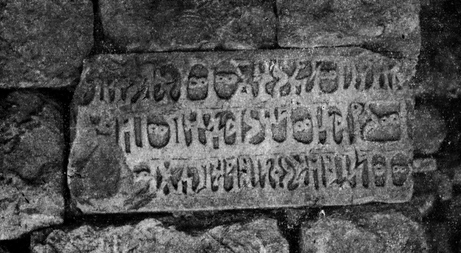 Grjaznevič 1978: fig. 11 Image free from copyright