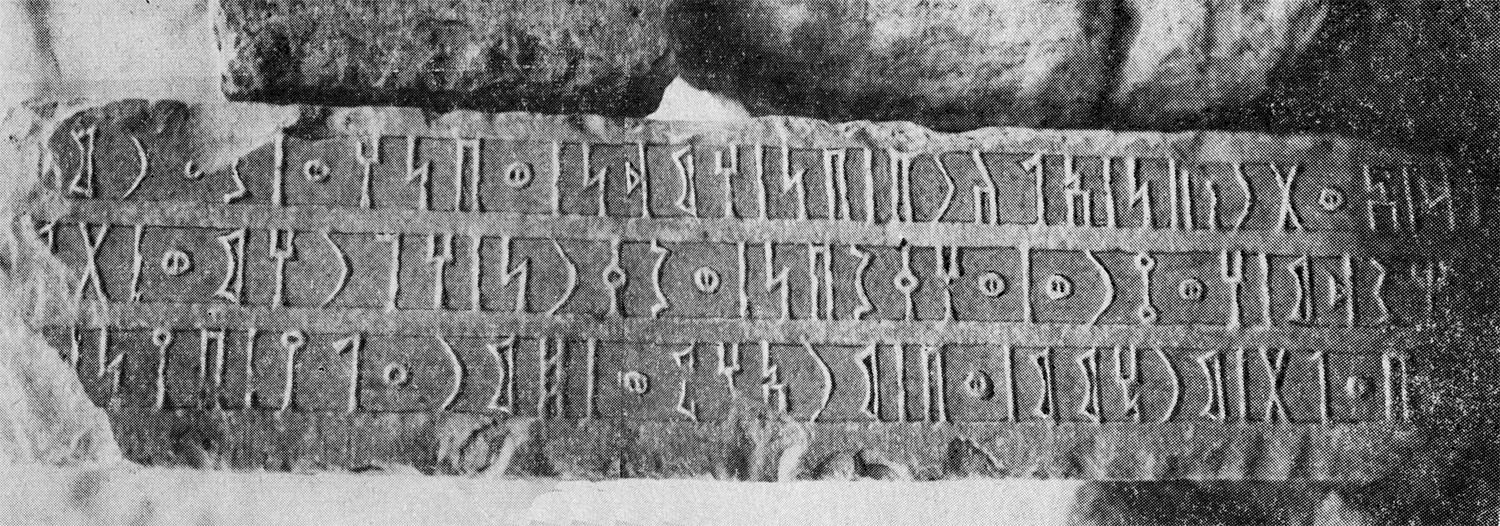 Grjaznevič 1978: fig. 12/a-b Image free from copyright