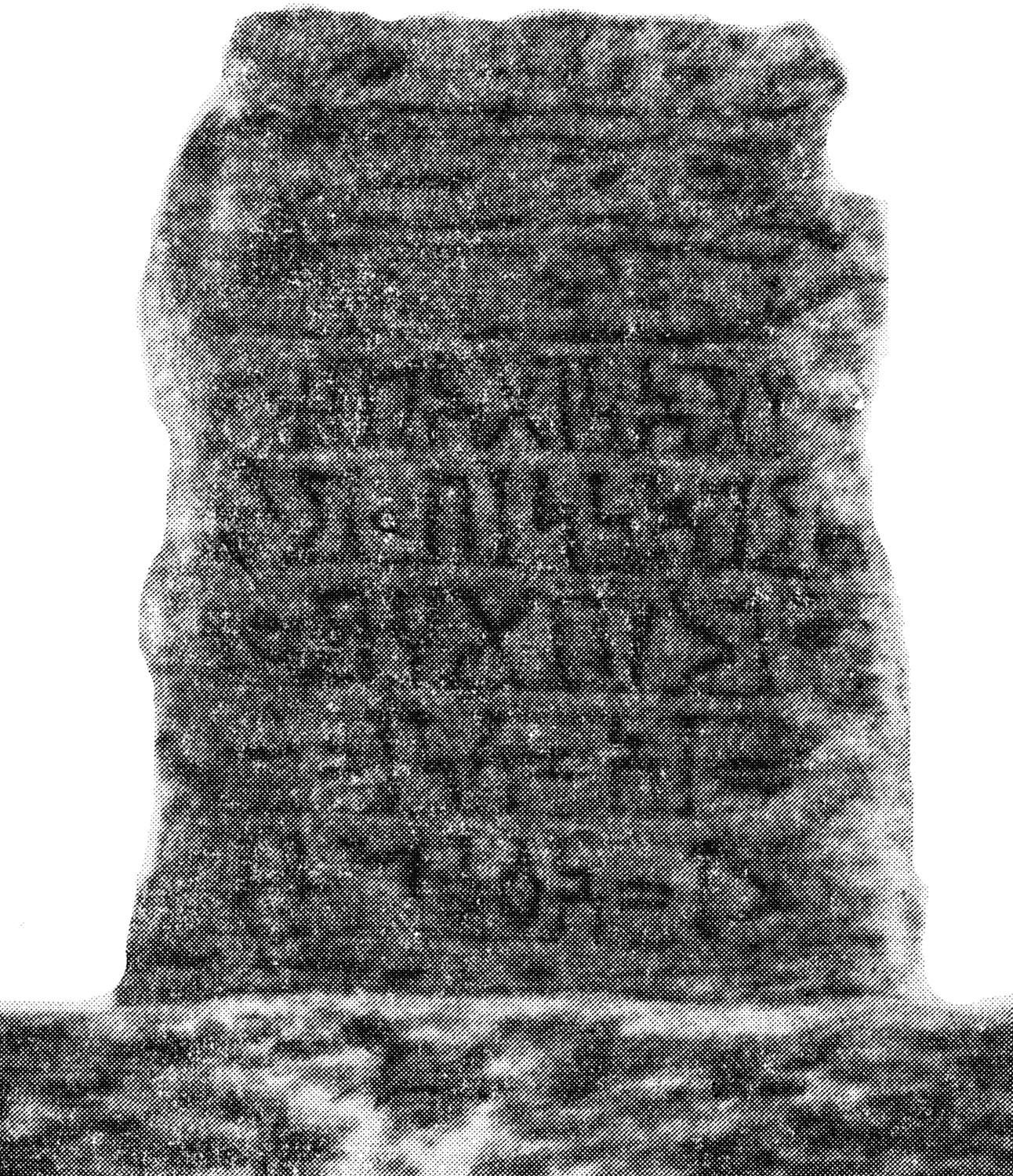 Grjaznevič 1978: fig. 13 Image free from copyright