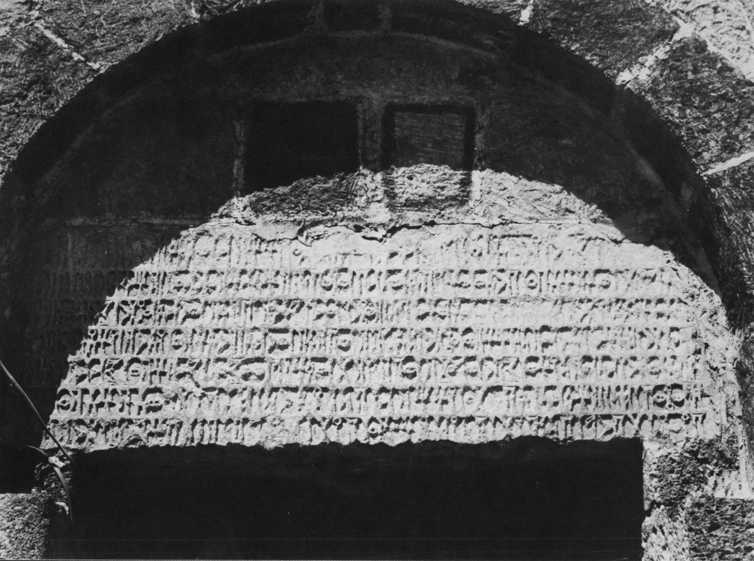 Avanzini 1985: pl. 16 Image free from copyright