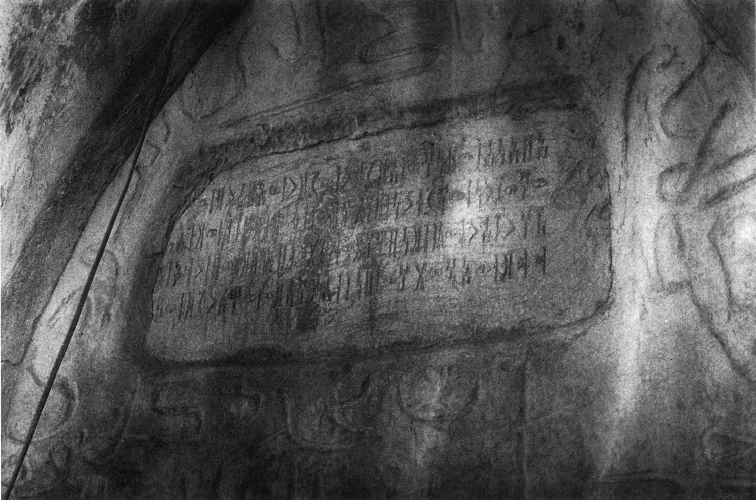 Avanzini 1985: pl. 17 Image free from copyright