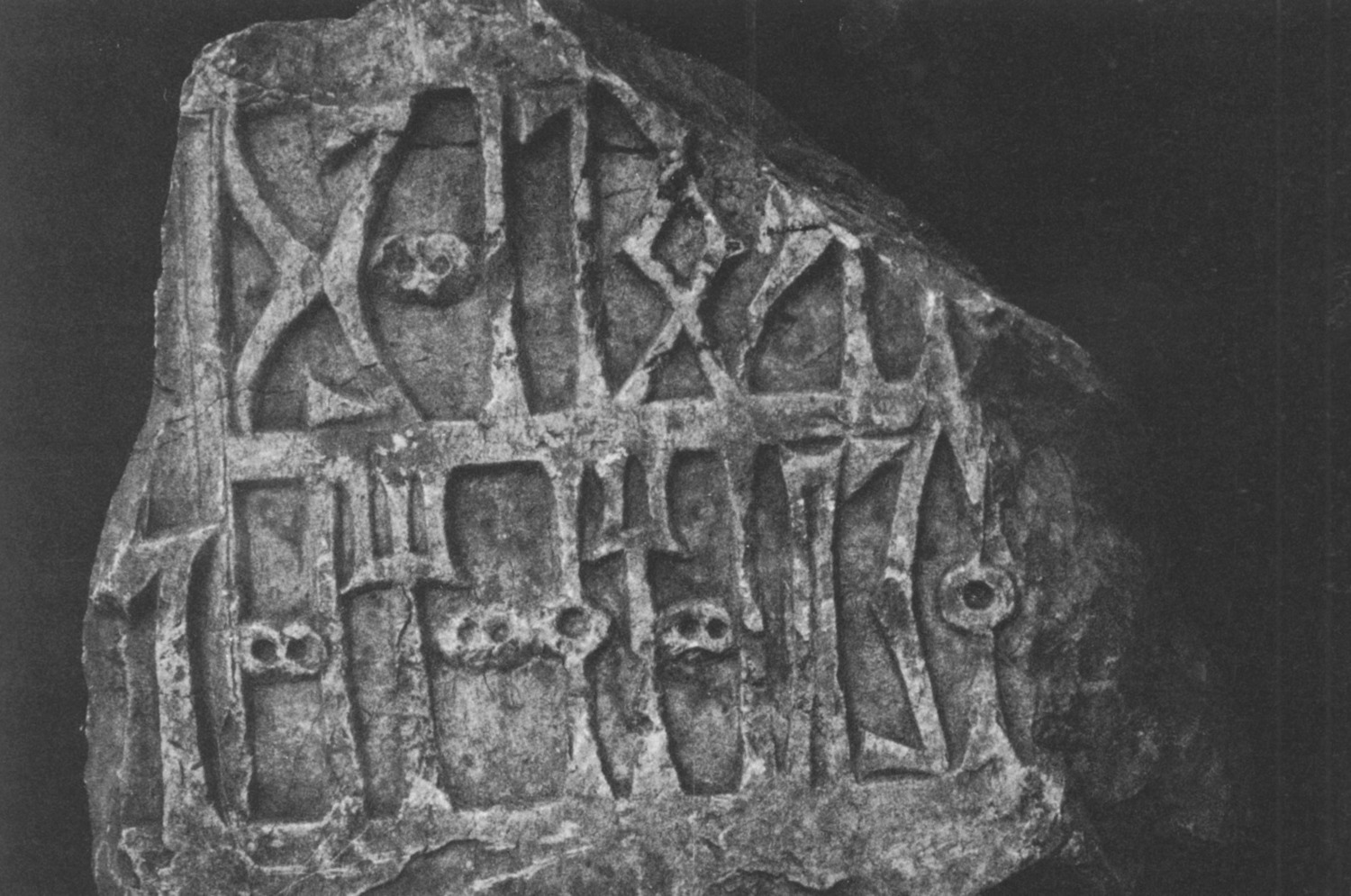 Avanzini 1985: pl. 23/1 Image free from copyright