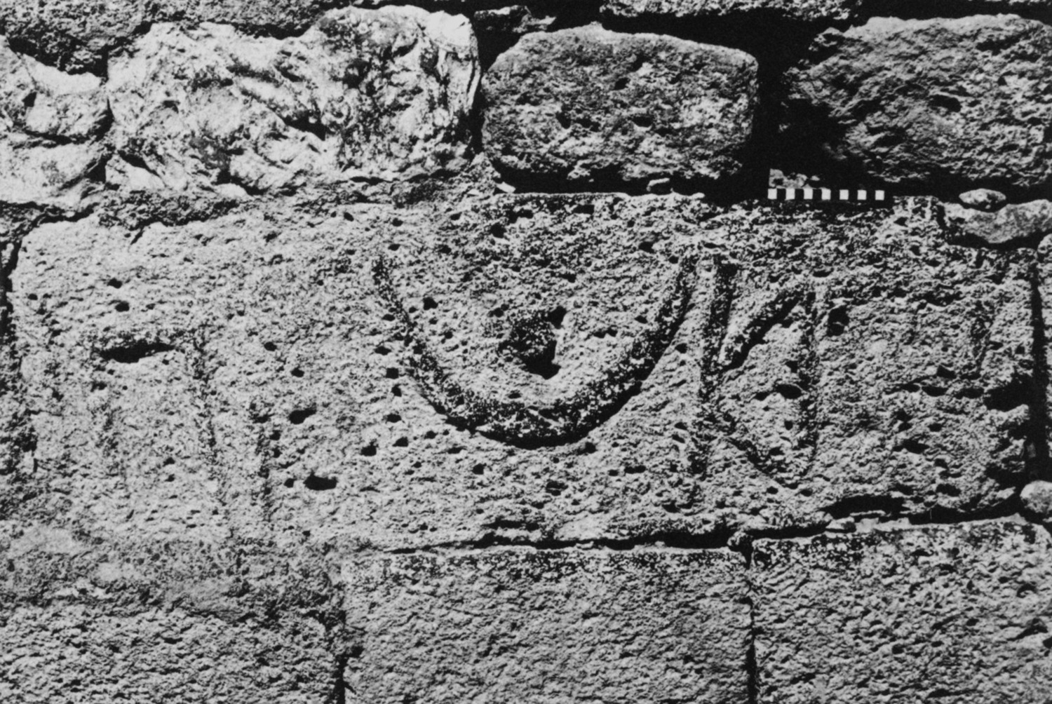Avanzini 1985: pl. 29/1 Image free from copyright