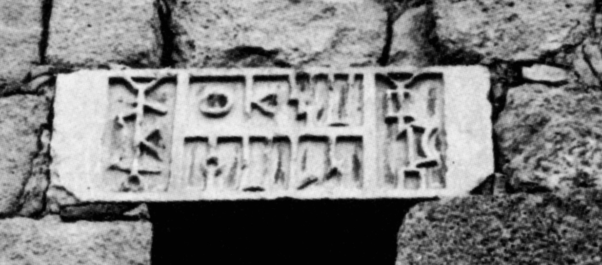 Avanzini 1985: pl. 30/2 Image free from copyright