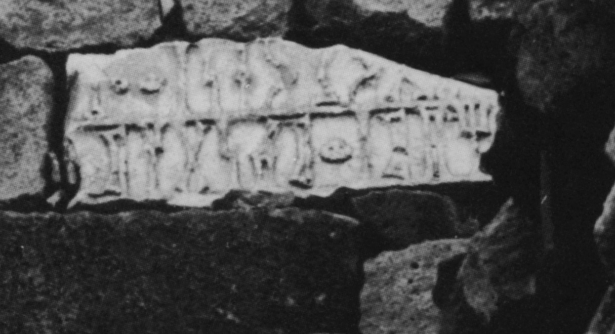 Avanzini 1985: pl. 33 Image free from copyright