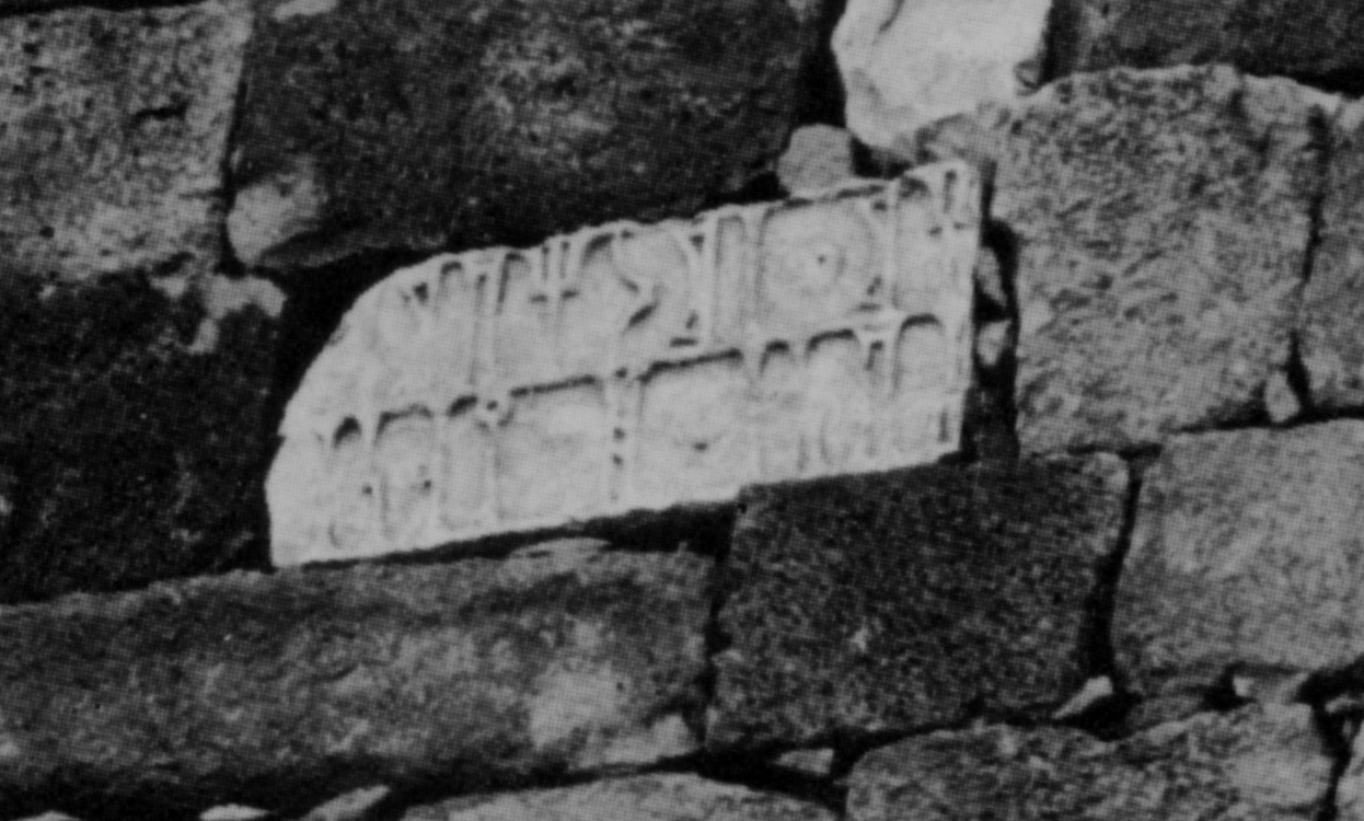 Avanzini 1985: pl. 33 Image free from copyright