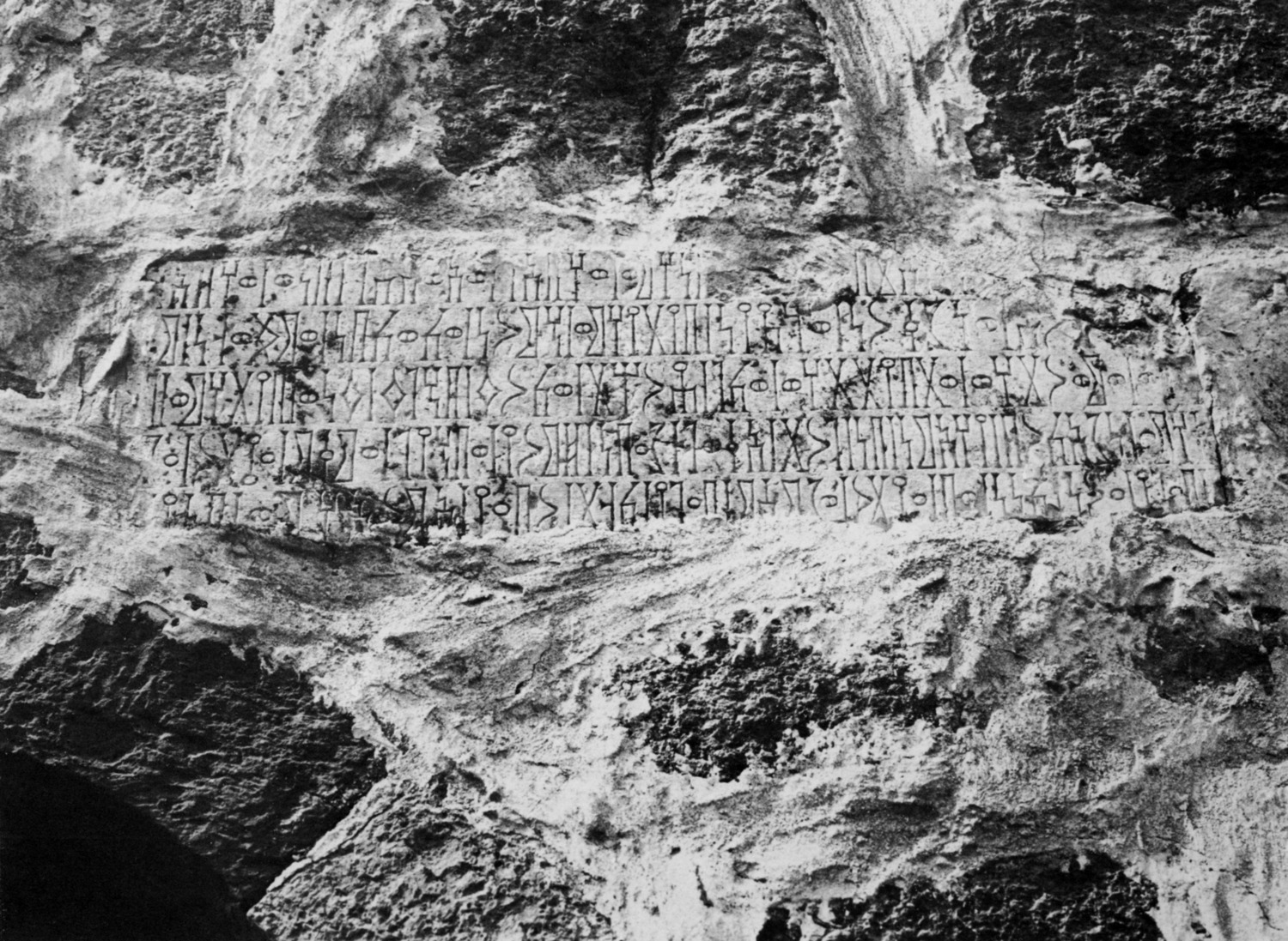 Avanzini 1985: pl. 34 Image free from copyright