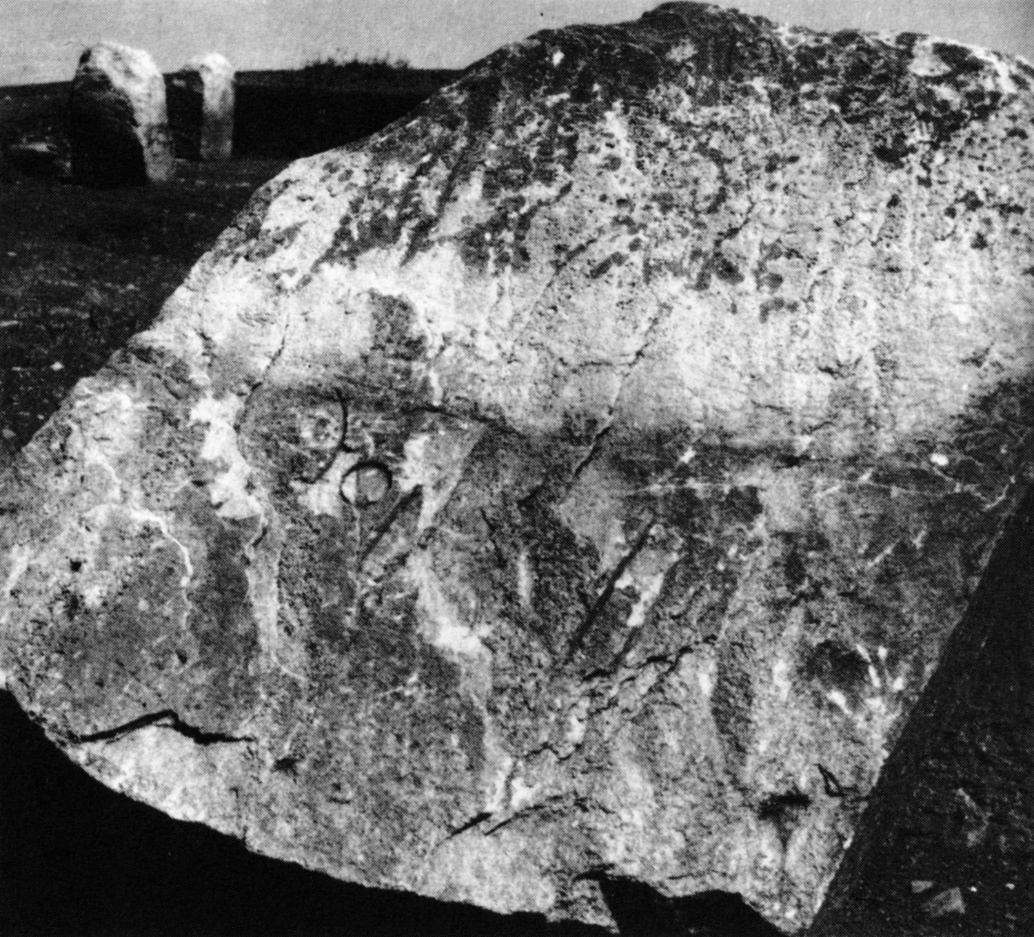Bernand, Drewes and Schneider 1991: ii, pl. 16/17 Image free from copyright