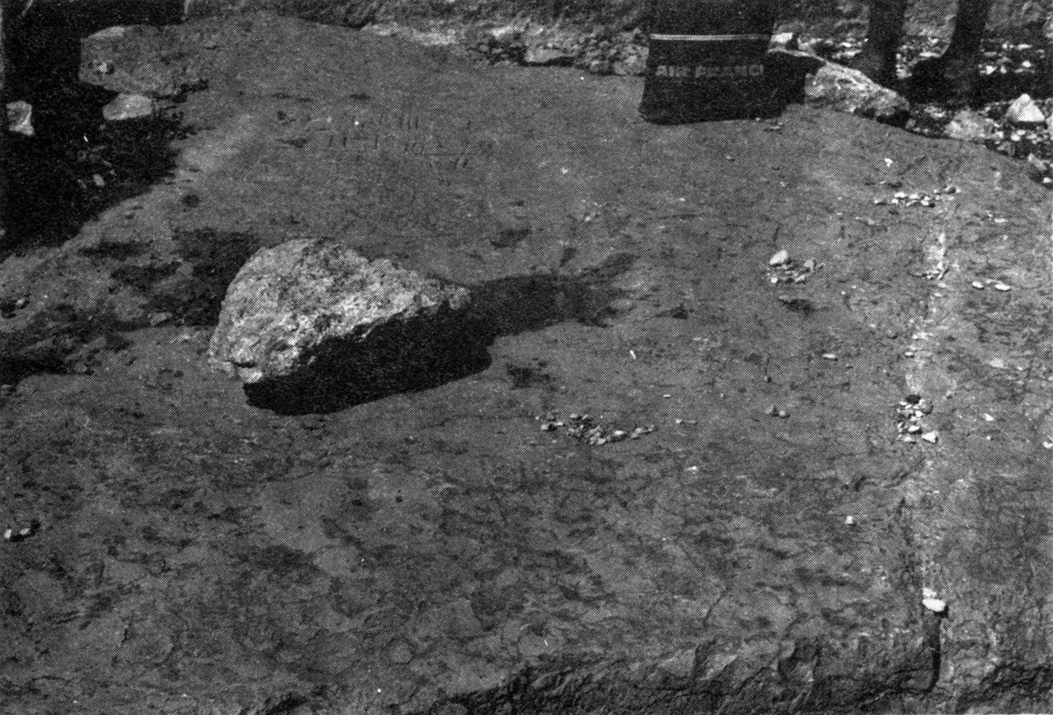 Robin 1982 a: ii, pl. 21/b Image free from copyright