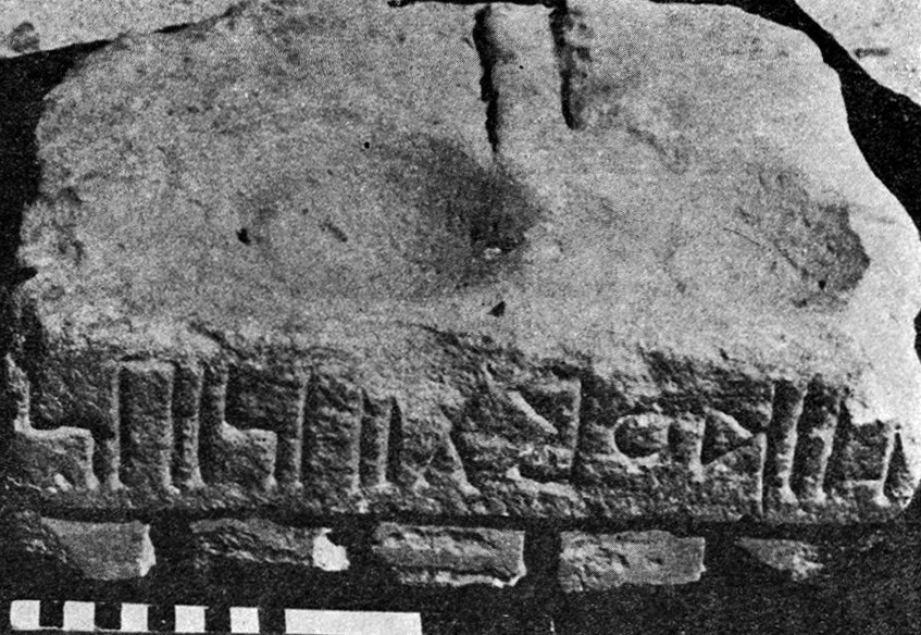 Schneider 1978: 131, fig. 4 Image free from copyright
