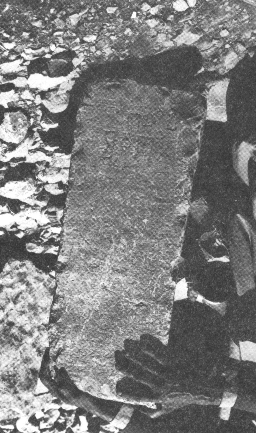 Robin 1982 a: ii, pl. 21/b Image free from copyright