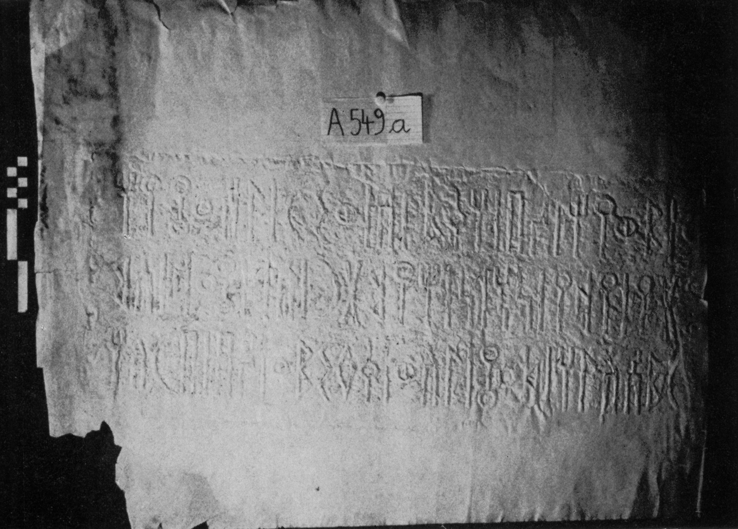 Schaffer 1975: pl. II/1 Image free from copyright