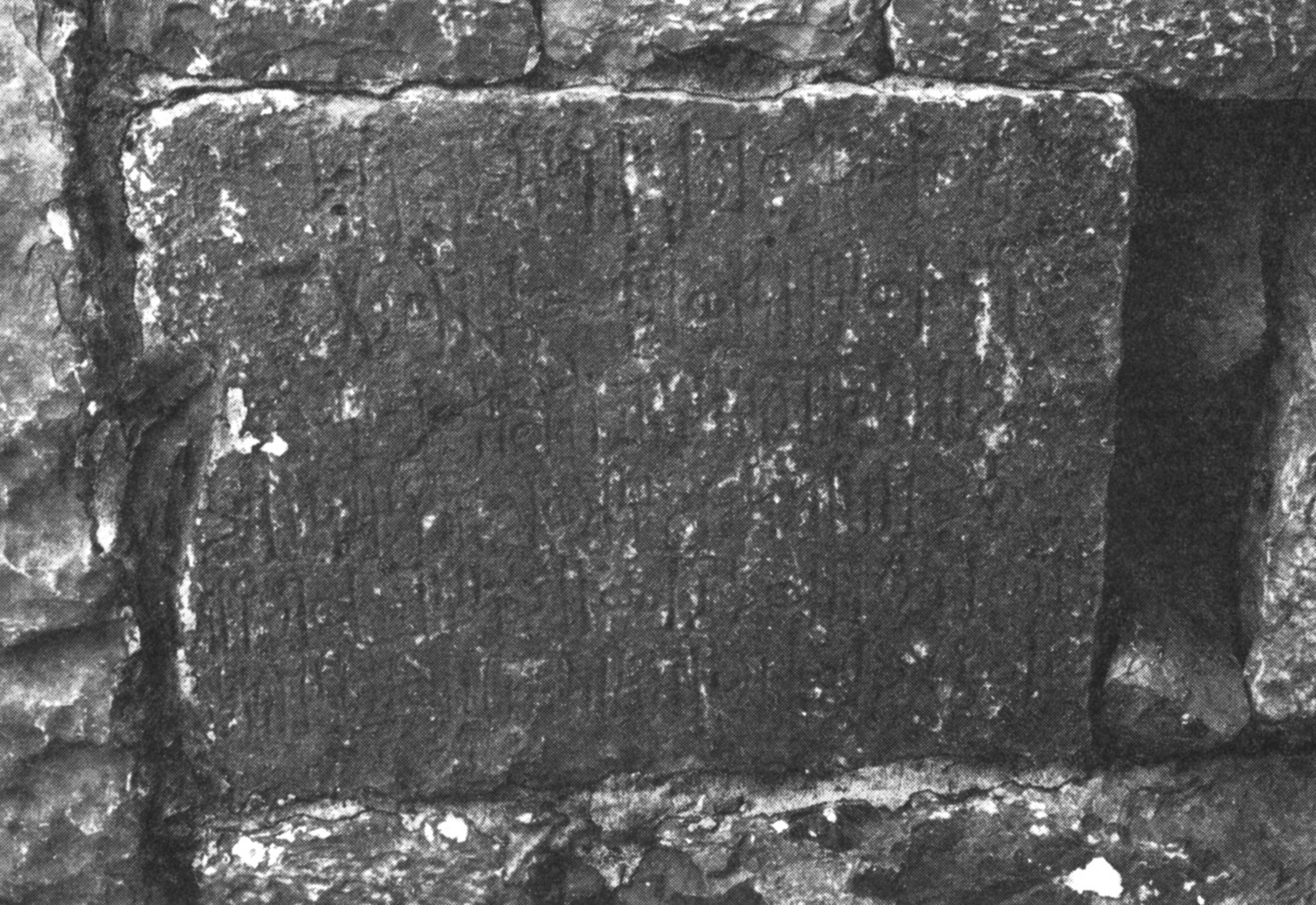 Robin 1982 a: ii, pl. 50/a Image free from copyright