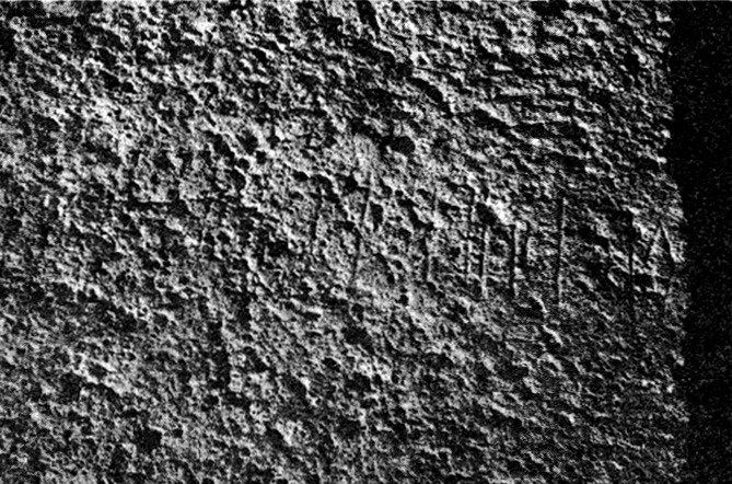 Schneider 1978: 130, fig. 1 Image free from copyright