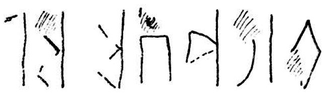 Schneider 1978: 130, fig. 2 Image free from copyright