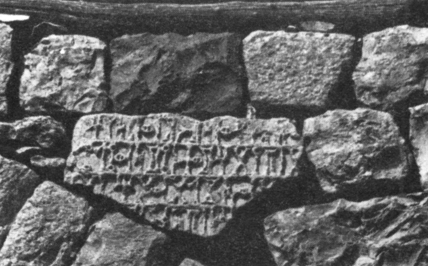 Robin 1982 a: ii, pl. 55/c Image free from copyright