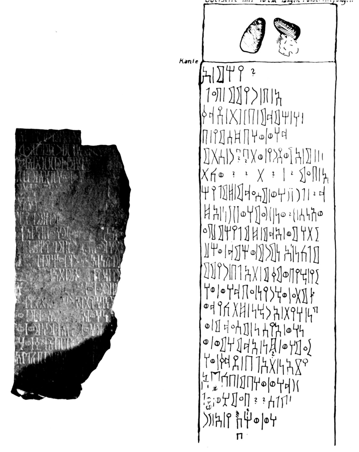 Mordtmann and Mittwoch 1931: 47, n. 26 Image free from copyright