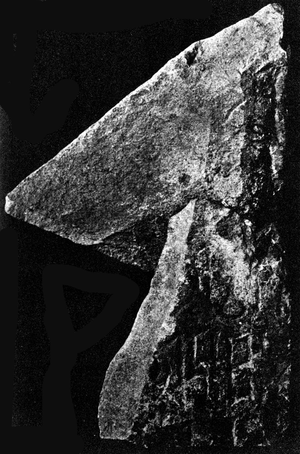 Left side Mittwoch and Schlobies 1937: 87, n. 37 Image free from copyright