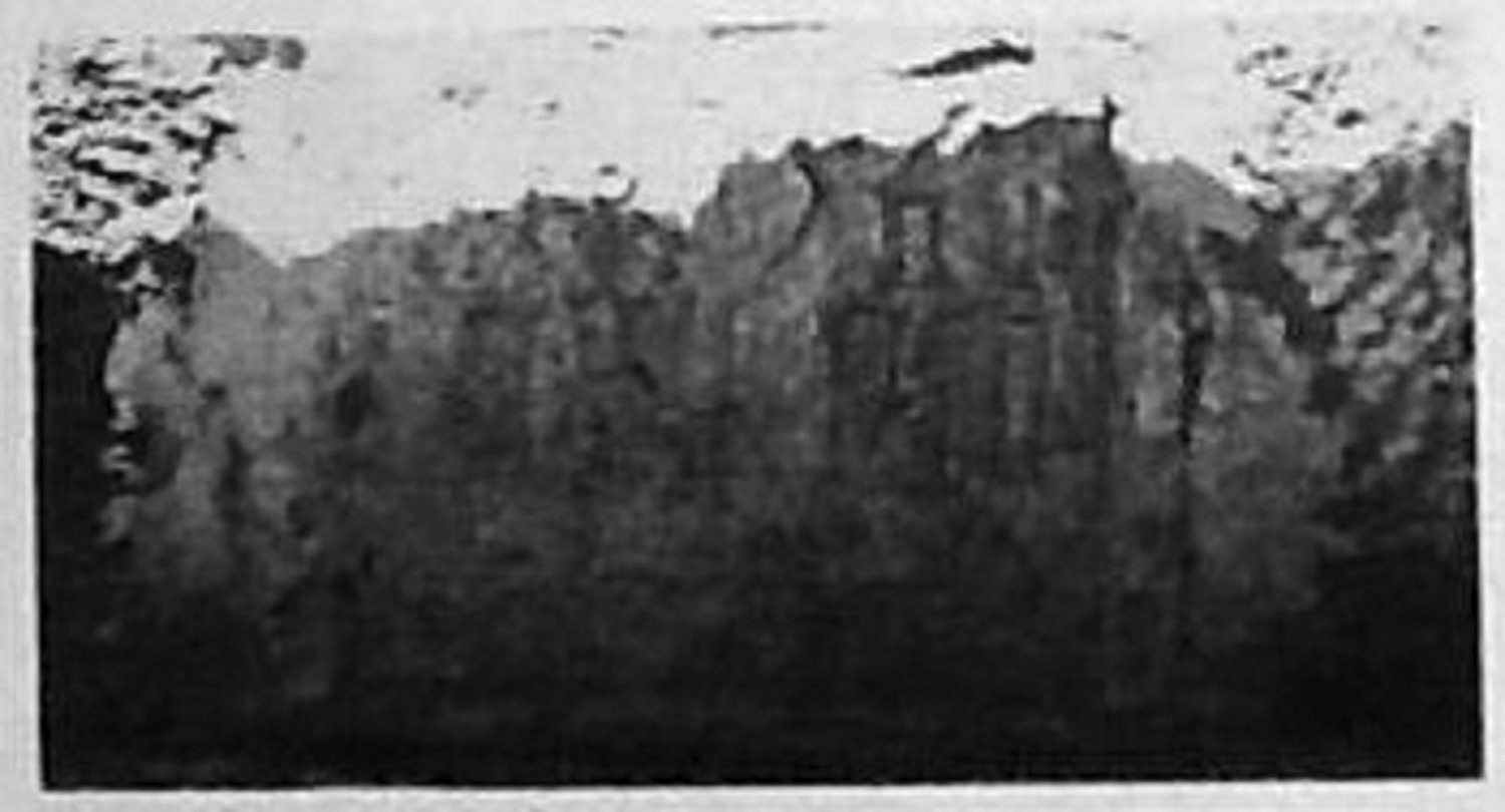 Müller, Walter W. 1972 a: pl. X, fig. 30 Image free from copyright