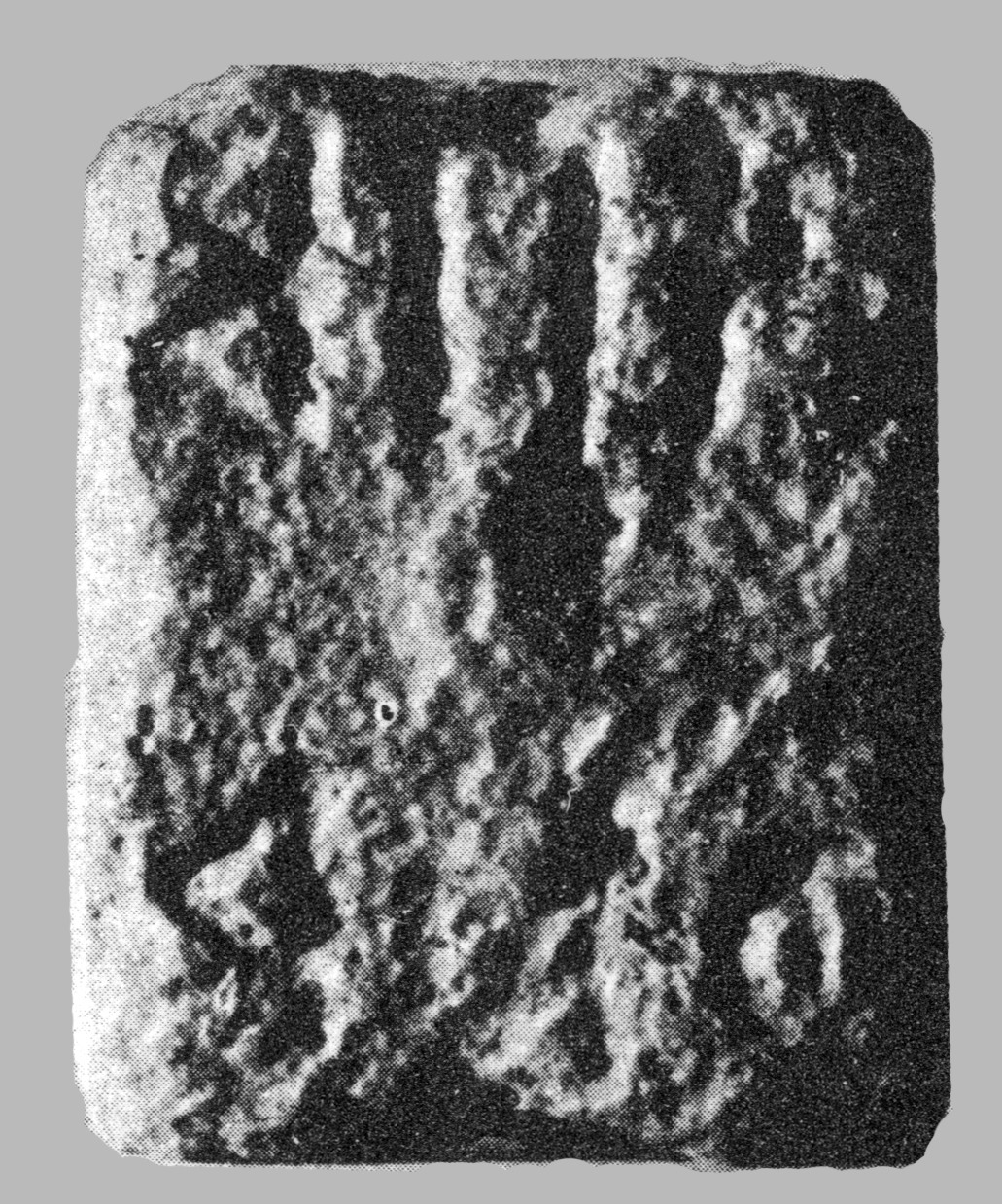 Mittwoch and Schlobies 1938: 97, n. 74 Image free from copyright
