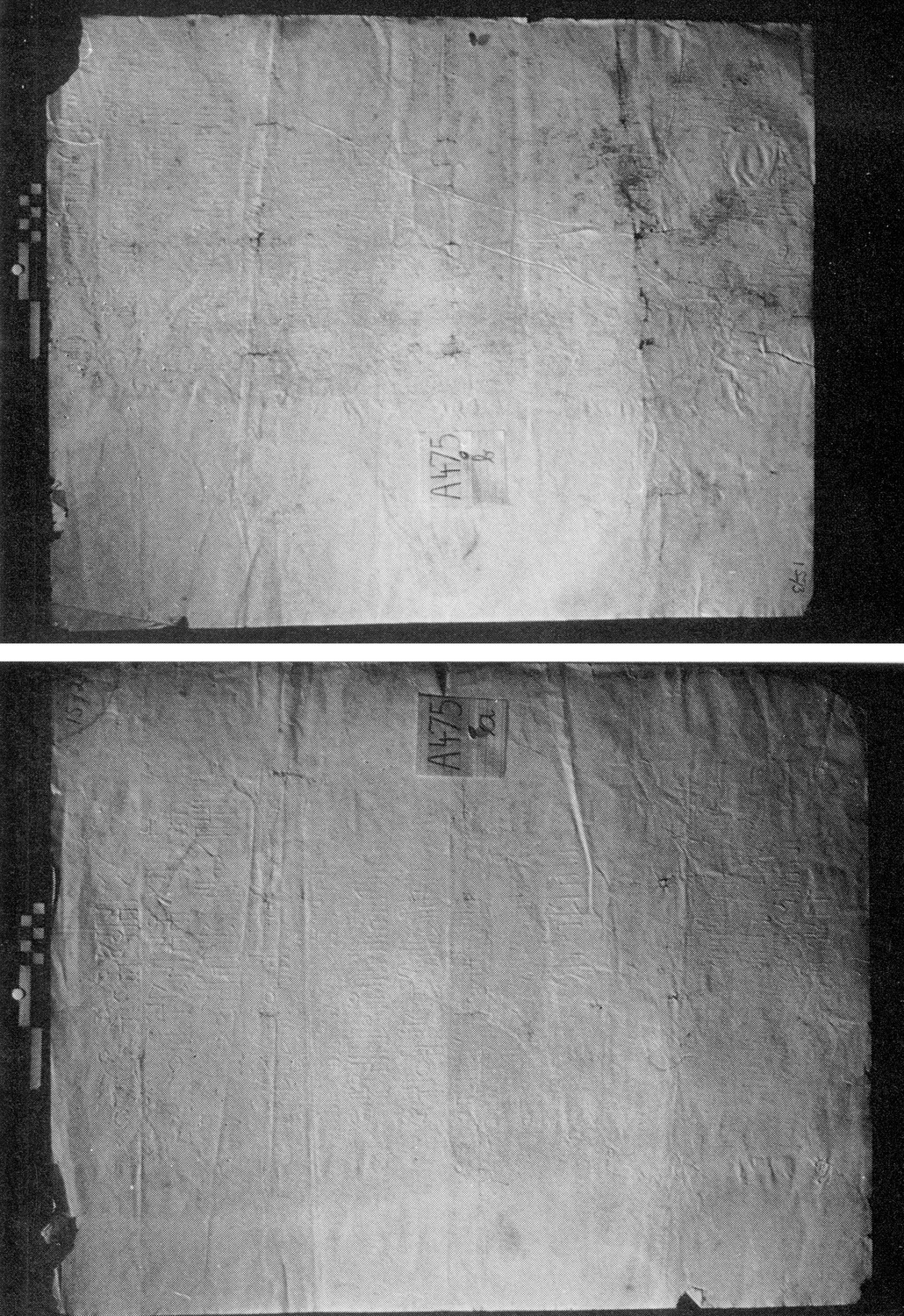 Höfner 1973: pl. XII/1-2 Image free from copyright