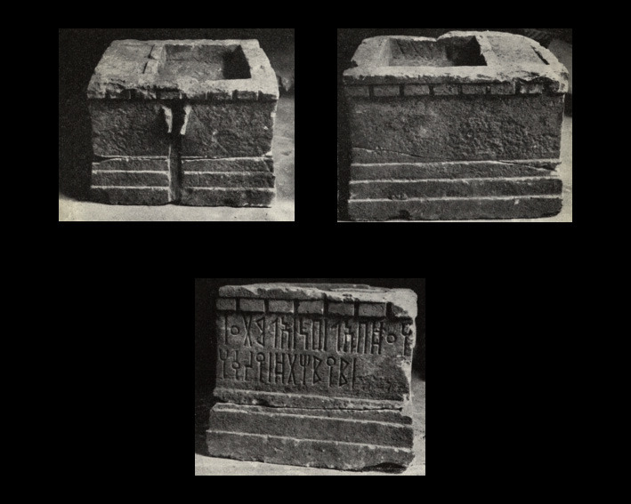 Davico 1946: plate Image free from copyright