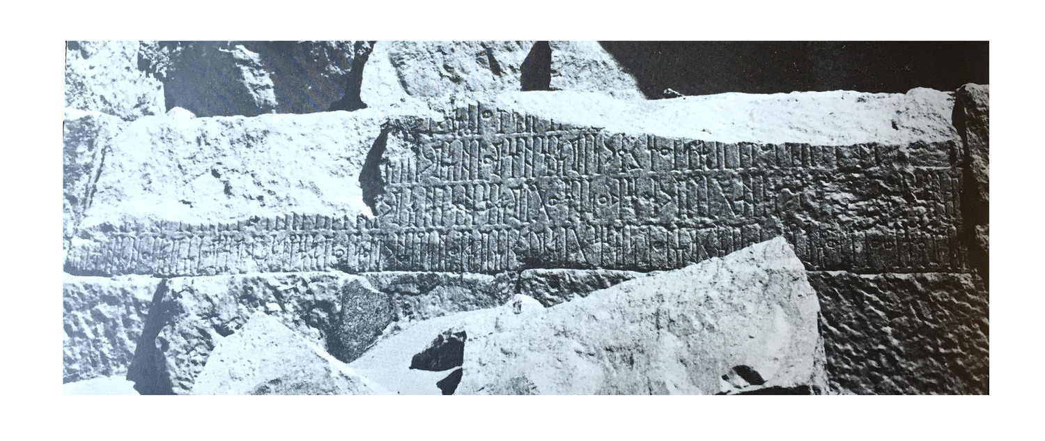 Bron 1983: pl. 11/a Image free from copyright