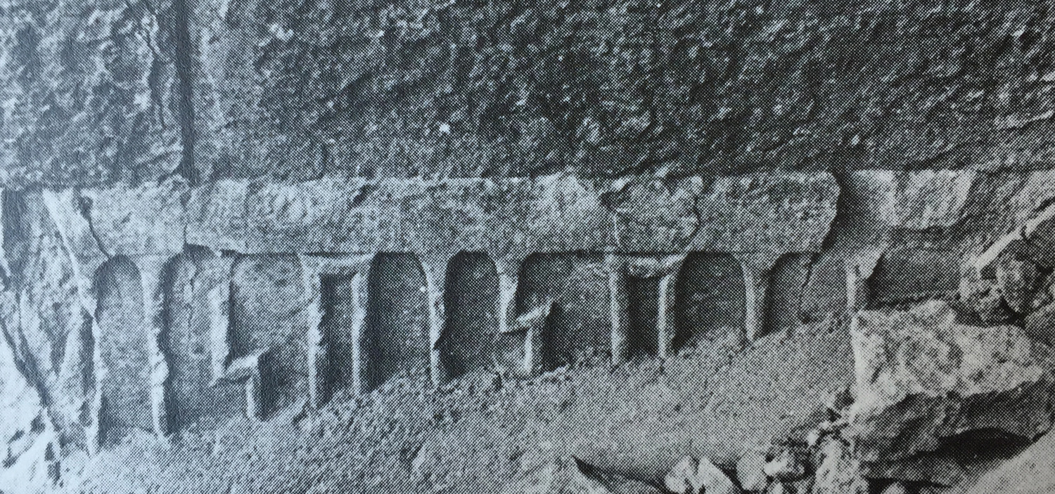 Bron 1983: pl. 5/b Image free from copyright