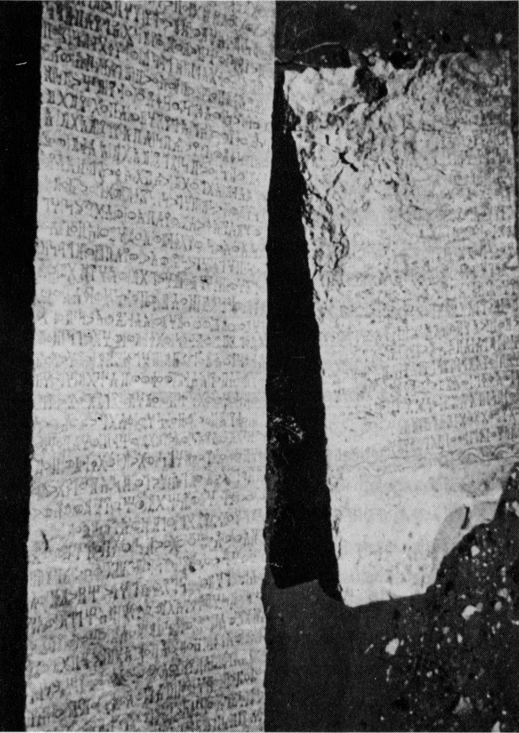 Müller, Walter W. 1981: 356 (photo) Image free from copyright