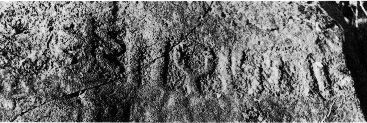 Bernand, Drewes and Schneider 1991: ii, pl. 58/78 Image free from copyright