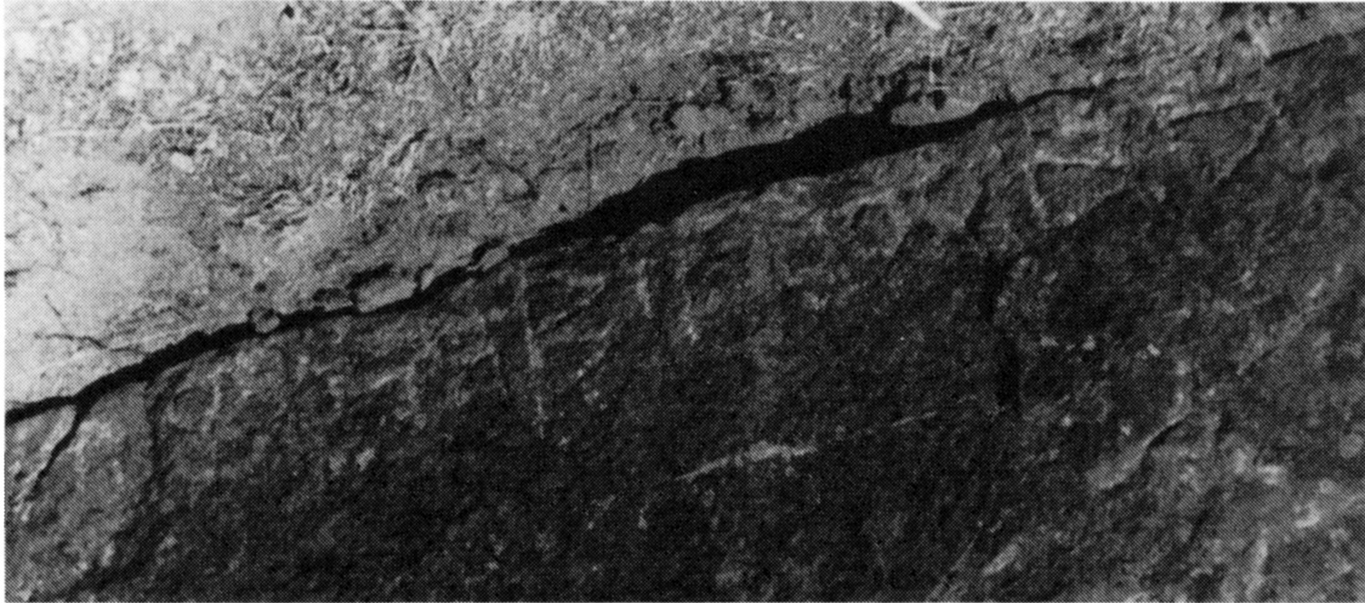 Bernand, Drewes and Schneider 1991: ii, pl. 59/81 Image free from copyright