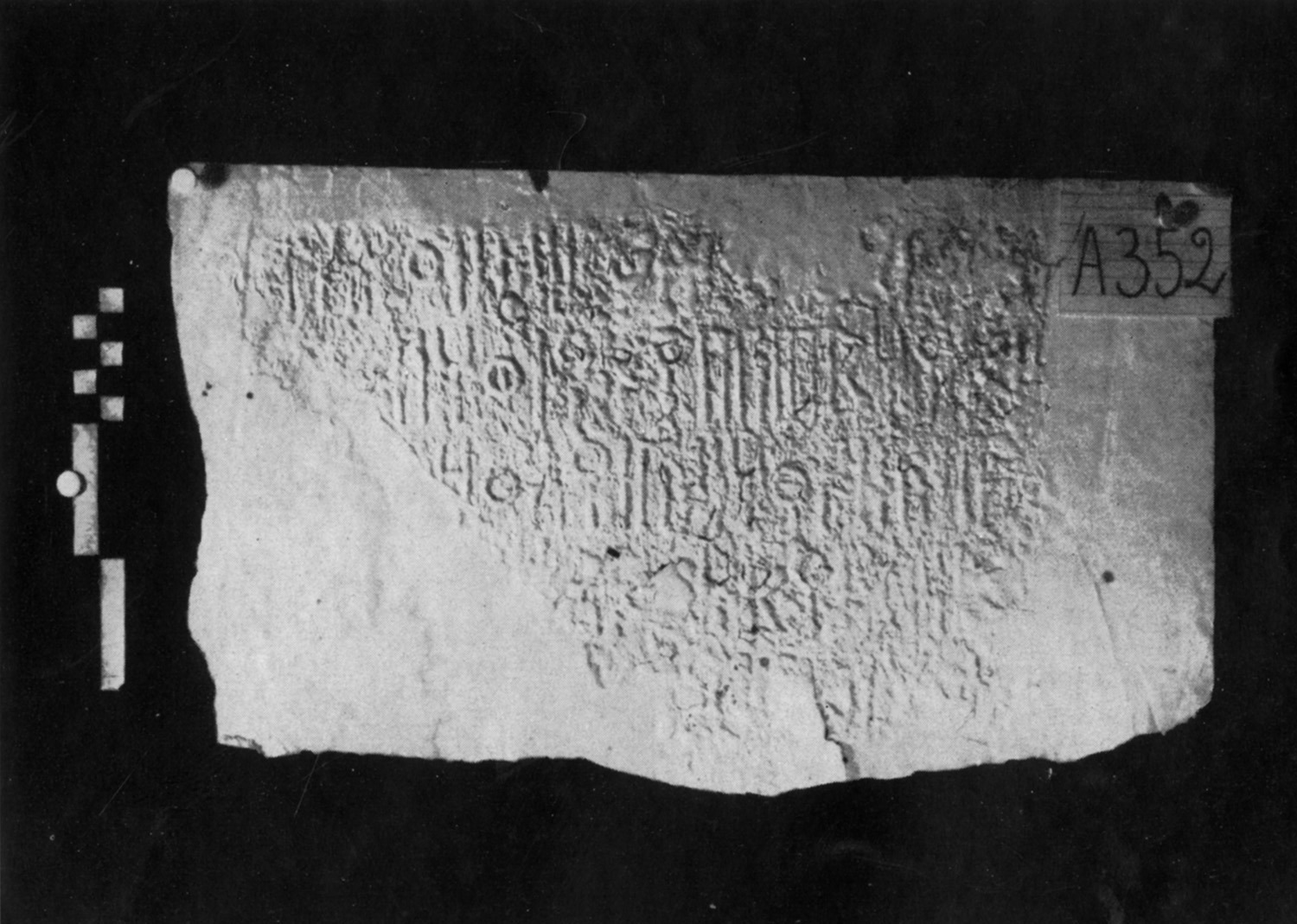 Solá Solé 1964: pl. XIII, fig. 2 Image free from copyright