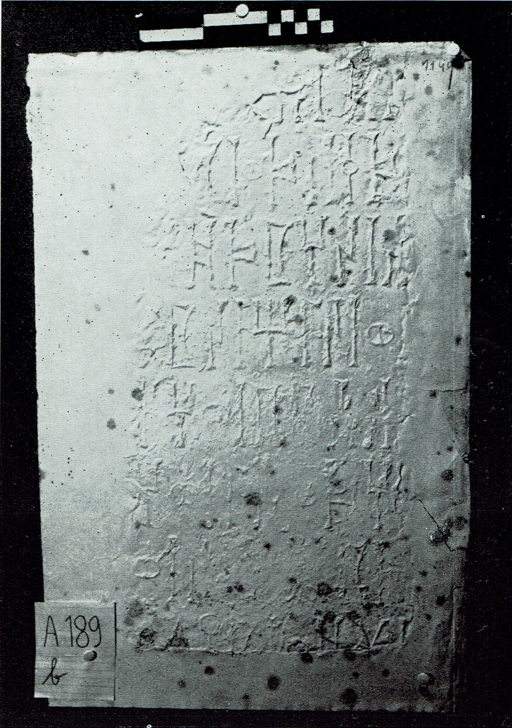 Schaffer 1972: pl. II/3 Image free from copyright