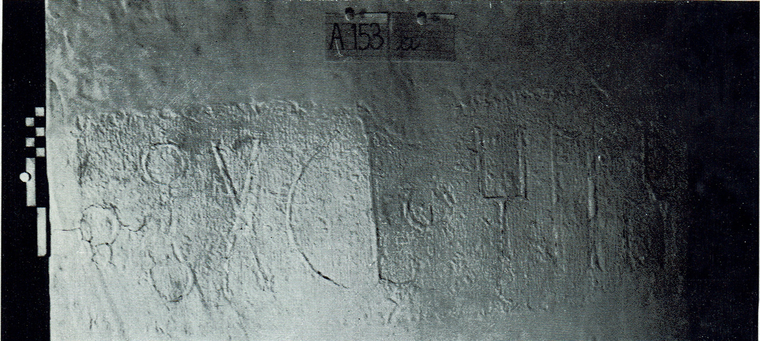Tschinkowitz 1969: pl. III (middle) Image free from copyright